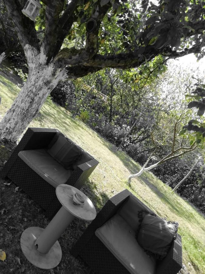 Escapade Champetre Panzió Hauteville-sur-Fier Kültér fotó